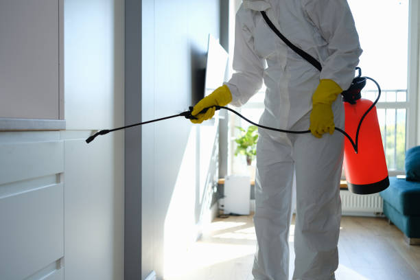Best Air Quality Testing for Mold Spores  in Bellview, FL