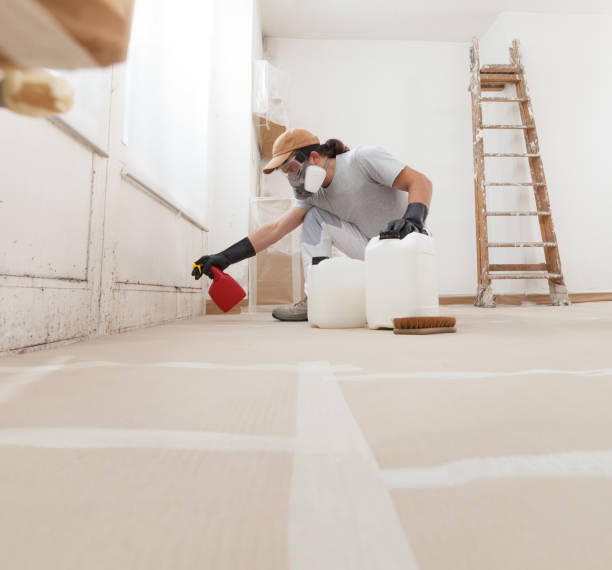 Best Biohazard Mold Removal  in Bellview, FL